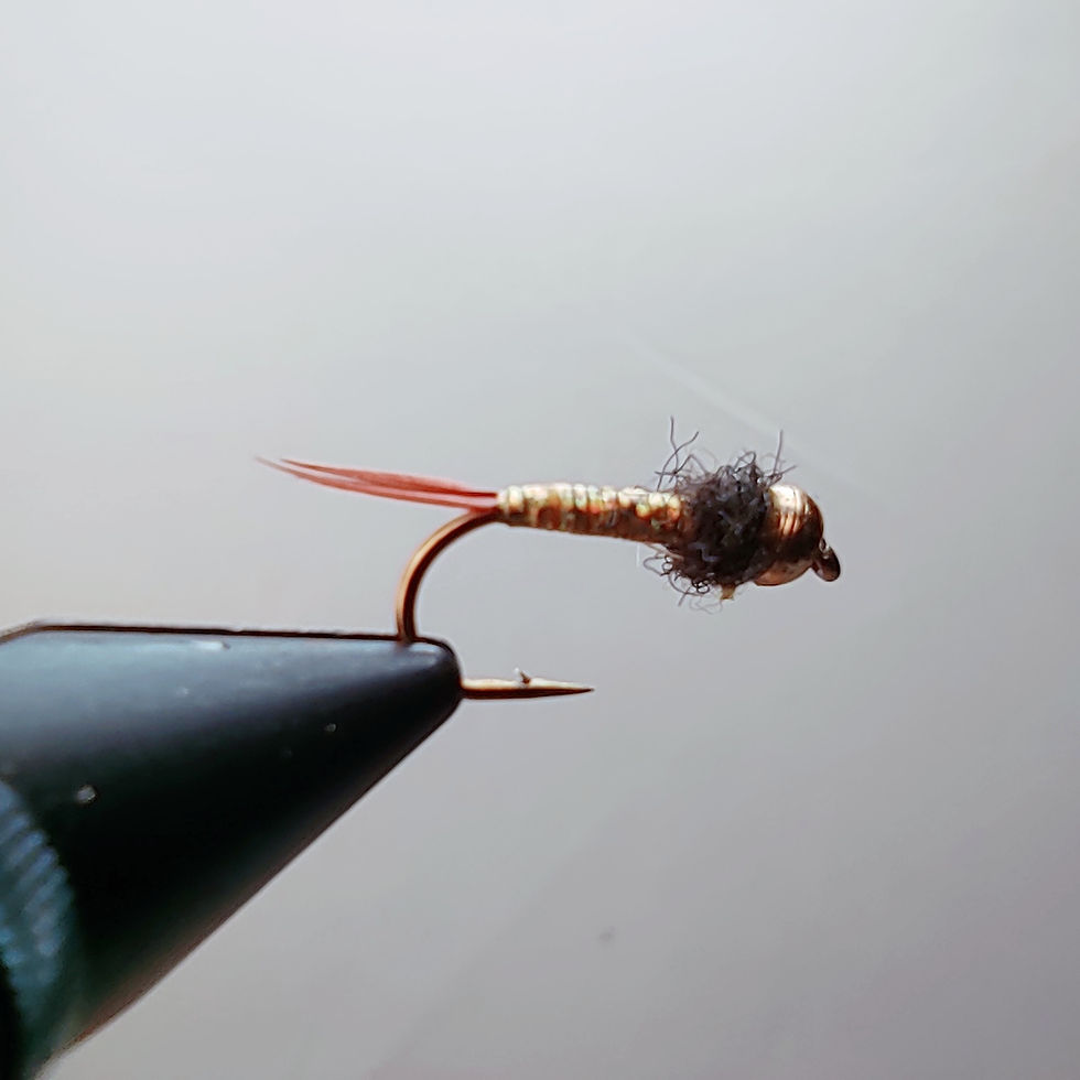 Miniatura: NYMPH PERDIGON