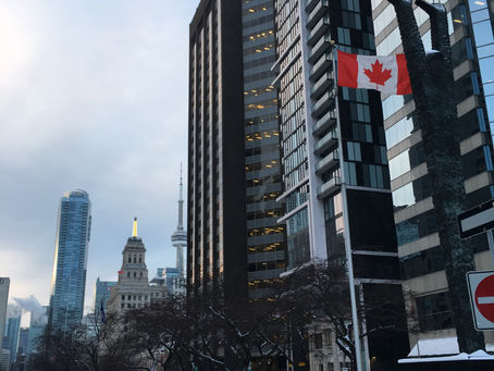 A new leader for the Ontario Liberal Party (Omni News Italian)
