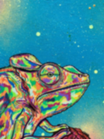 “Mr Chameleon” canvas print