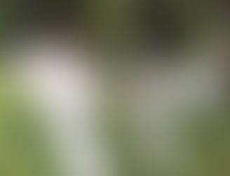 2017梶原道場少年キャンプ初日