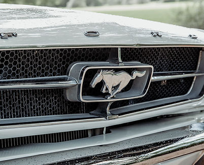 Ford Mustang Wit logo
