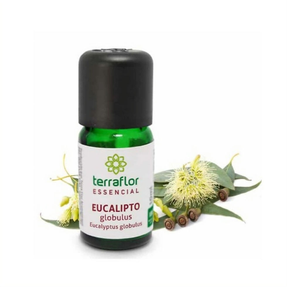 Óleo essencial Eucalipto Glóbulos
