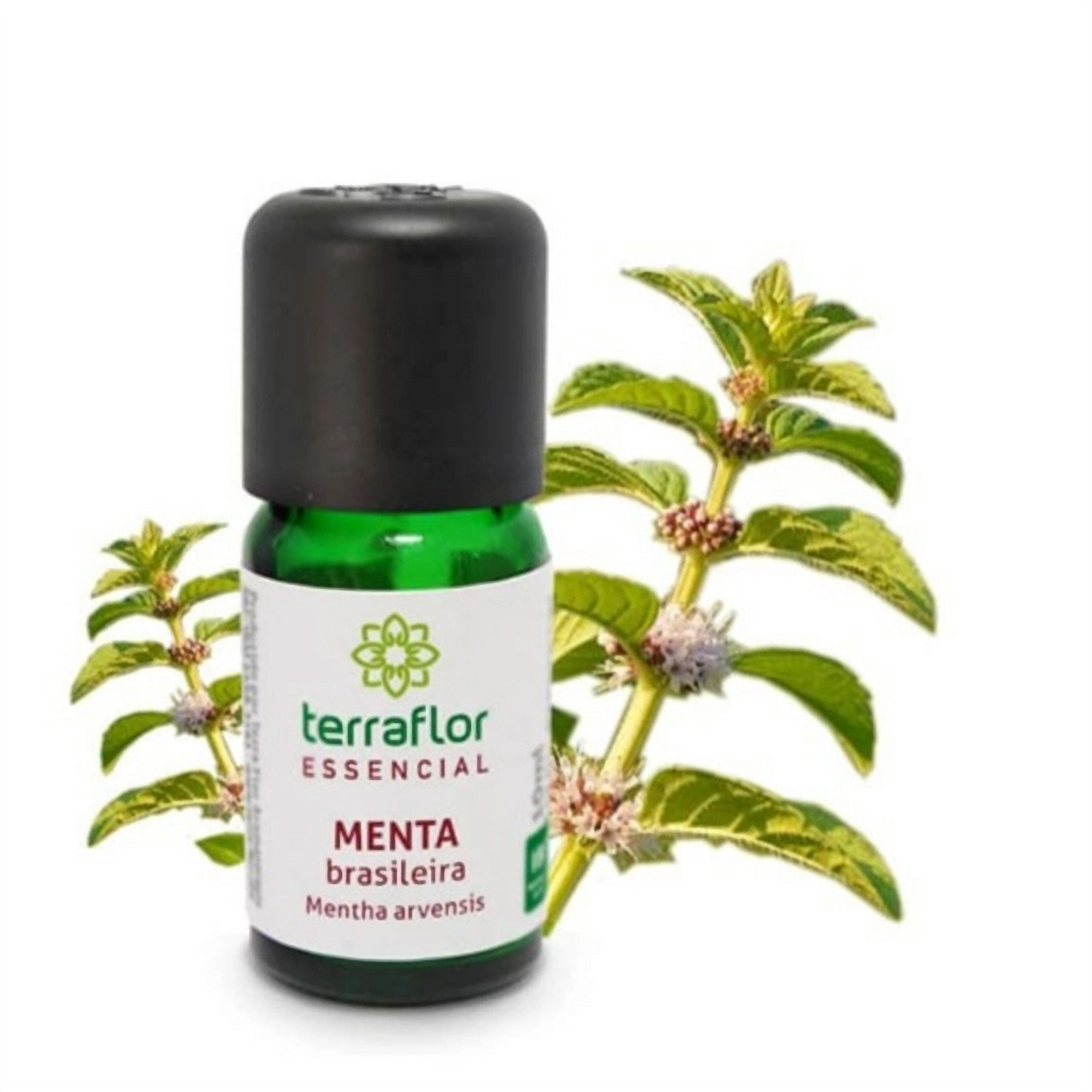 Óleo essencial Menta Brasileira