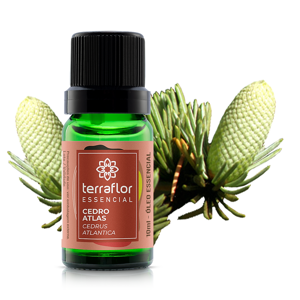 Óleo essencial Cedro Atlas Terra Flor