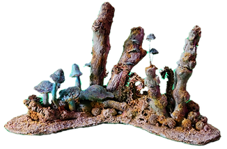 caustic clump_edited.png