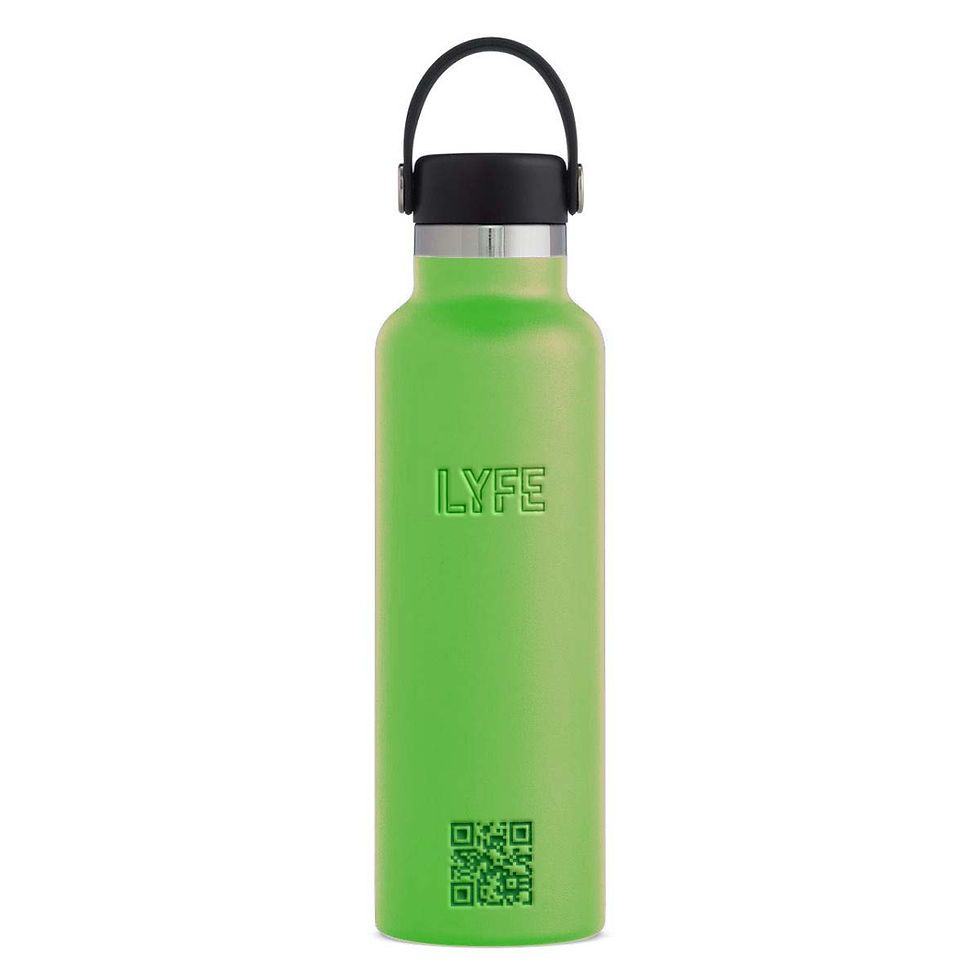 LYFEFest Ticket (Green)
