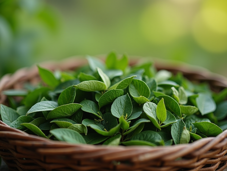 Shopping Nilgiri Products Online