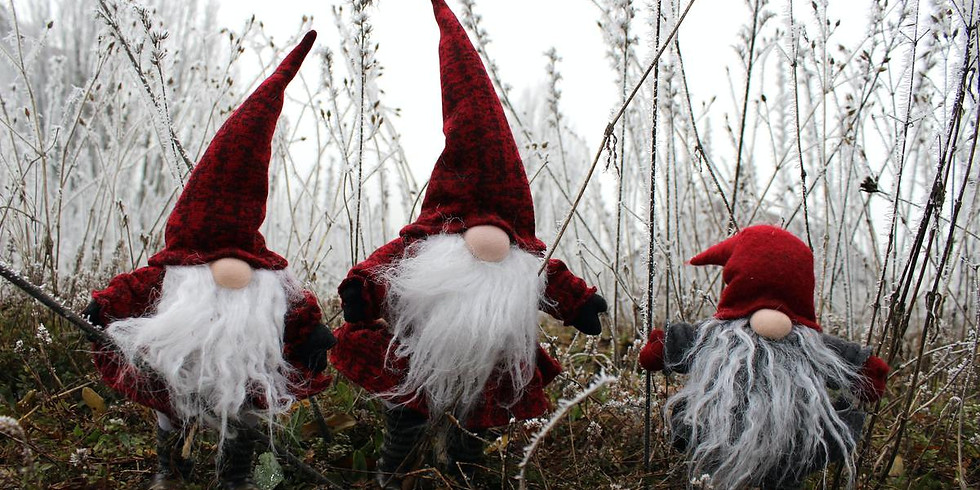 Winter Wonderland in the Food Forest