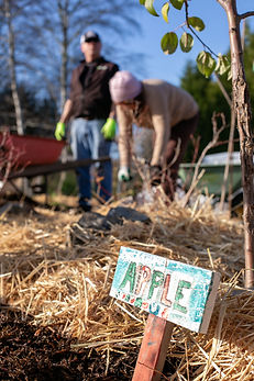 gareau- 20191124-community garden-3264.j