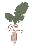 IMG_9527.PNG