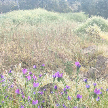 My artistic process (or play?)