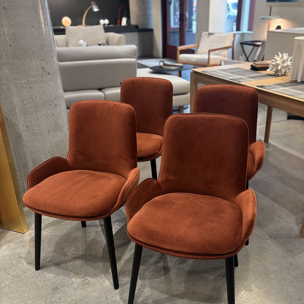 Thumbnail: WING Dining Chairs: Floor Models