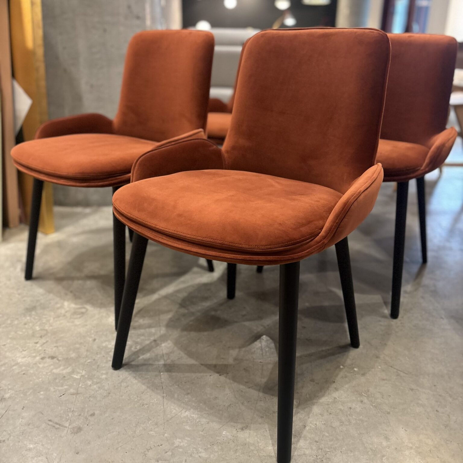 WING Dining Chairs: Floor Models