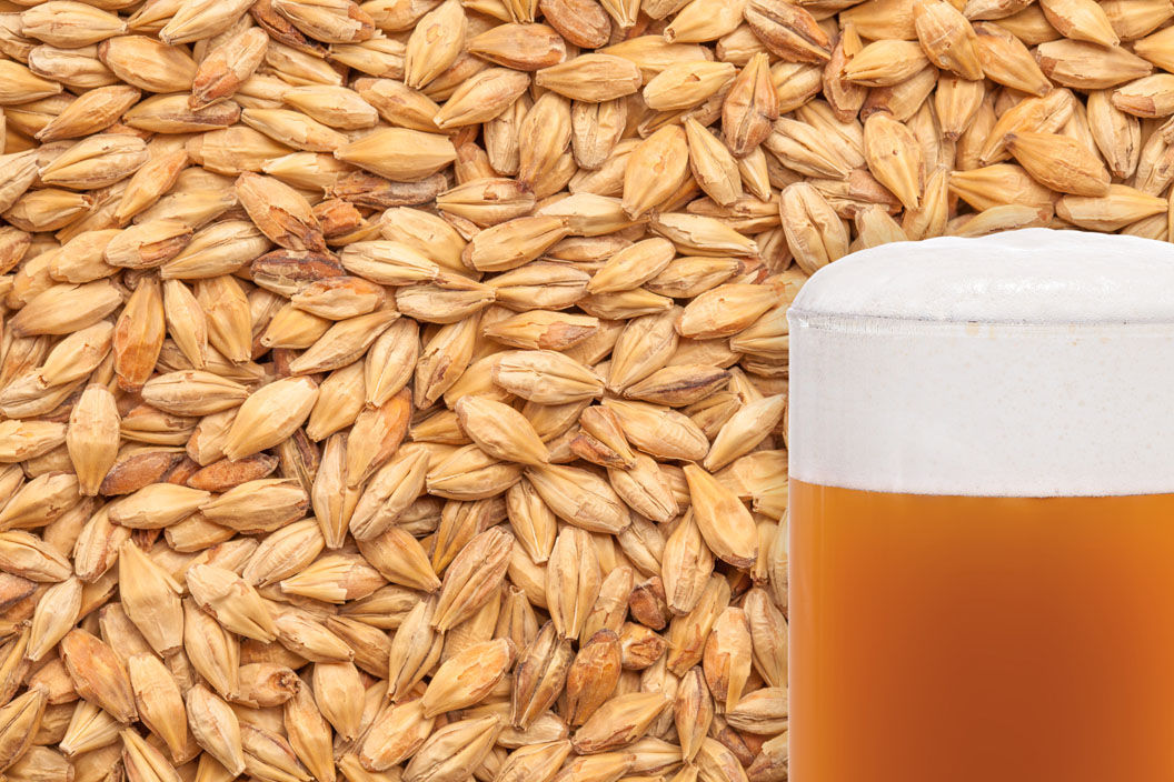 Caramel Hell - Best Malz - 100g