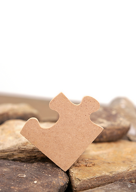 Singular puzzle piece to represent one piece of the puzzle