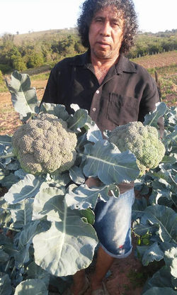 Feira do Produtor de Vinhedo-sp
