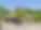 Screenshot 2026-03-03 at 1.33.20 PM.png