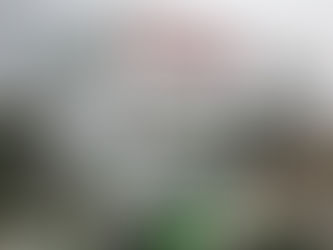 スピリッツ タカ