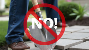 Cost Savings: DIY Landscaping with a Professional Edge