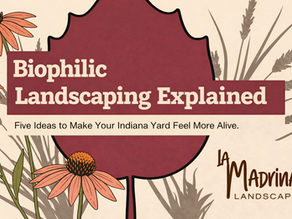 biophilic landscaping