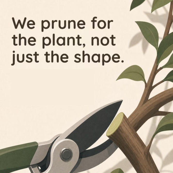 pruning shears