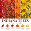 Fall Color from the Canopy Down: Native Planting in Indiana