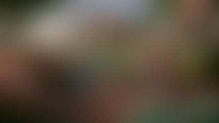 Why AI Can’t Replace the Eye of a Landscape Designer