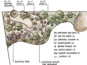 Rain Garden