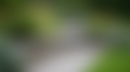 Hold the Line: Retaining Wall 101 