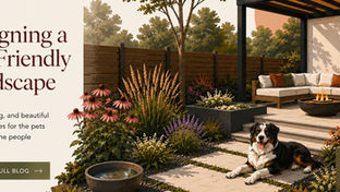 Pet-Friendly Landscape with Style