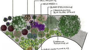Why We Ask About Your Lifestyle Before We Design