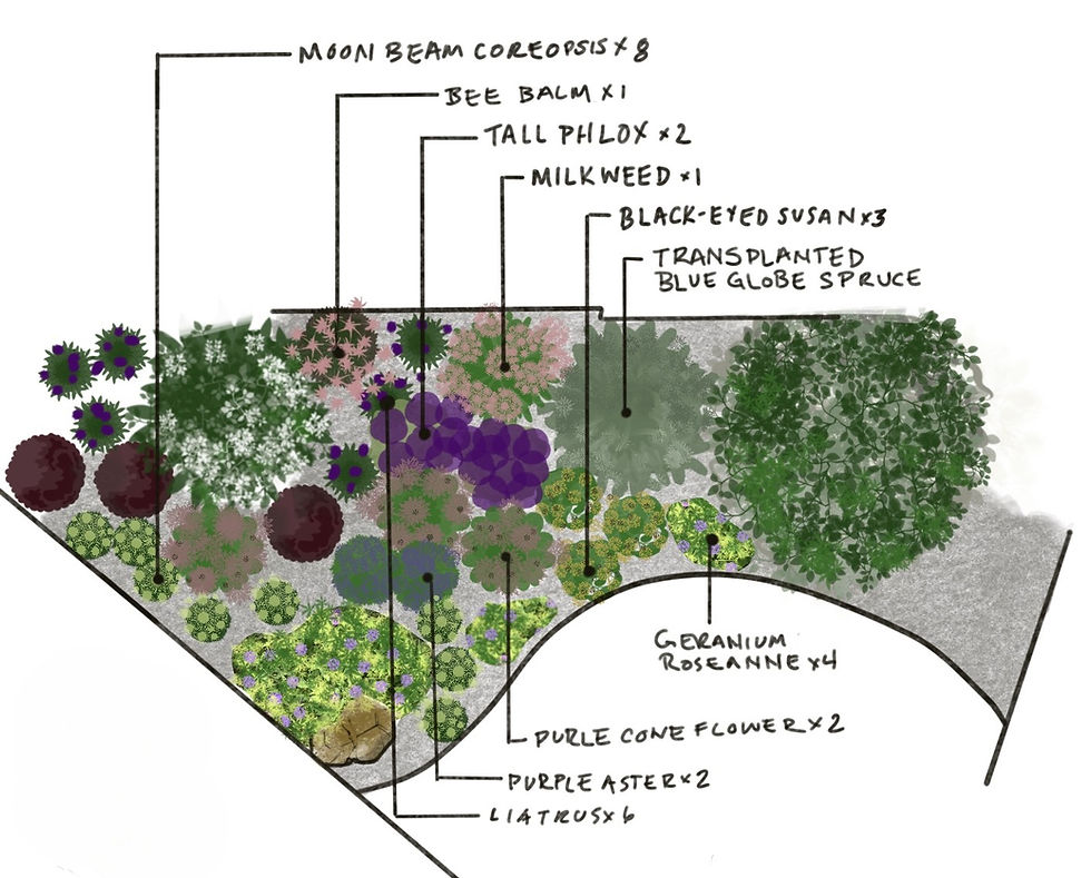 Why We Ask About Your Lifestyle Before We Design