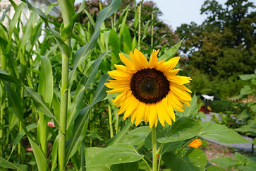 DSC01434.JPG