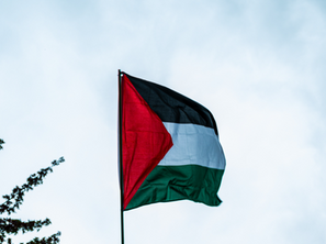 Сенки на тагата