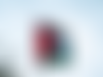 Сенки на тагата