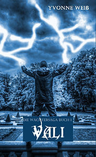 Vali Die Wächtersaga Buch 1 EBook Yvonne Weiß