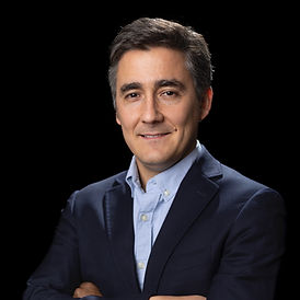 Consultora Agrícola Chile, Industria Silvoagropecuaria, Carlo Rojas