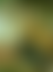 Santoral - 10 de Mayo