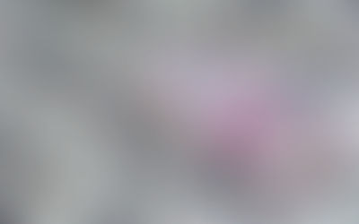 Dólar fuerte dejará a Banxico utilidad arriba de 400 mmdp