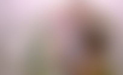 Equivale ya a 46.2 por ciento del PIB la deuda del sector público