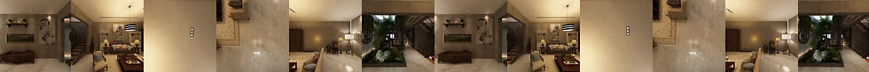 salon_jardin
