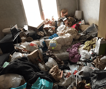 appartement insalubre.png