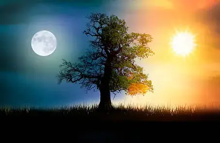 A sabedoria da temporada canceriana: quando o Sol escuta a Lua