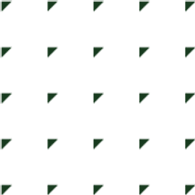 DP pattern-green-medium.png