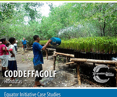 case_study_2015_CODDEFFAGOLF (Honduras).jpg