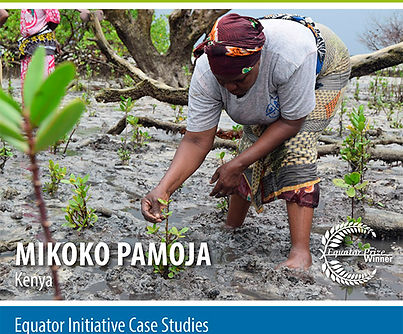 case_study_2017_Mikoko-Pamoja-Kenya.jpg