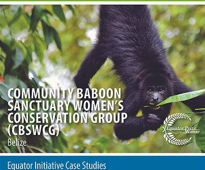 case_study_2017_baboon.jpg
