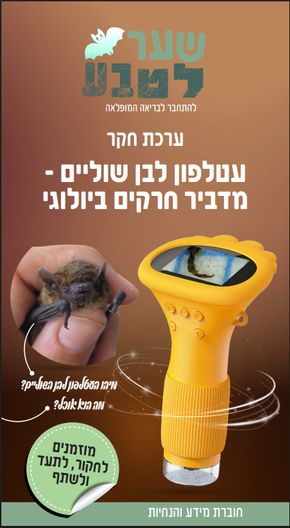 חוברת תמונה.png