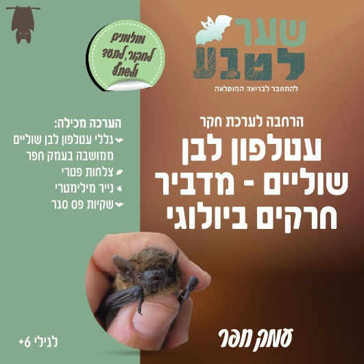 הרחבה לערכת חקר עטלפון לבן שוליים - מדביר חרקים ביולוגי - עמק חפר