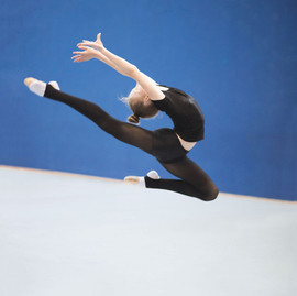 Components of Fitness